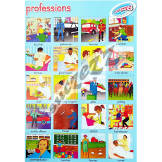 PROFESSIONS - POSTER    